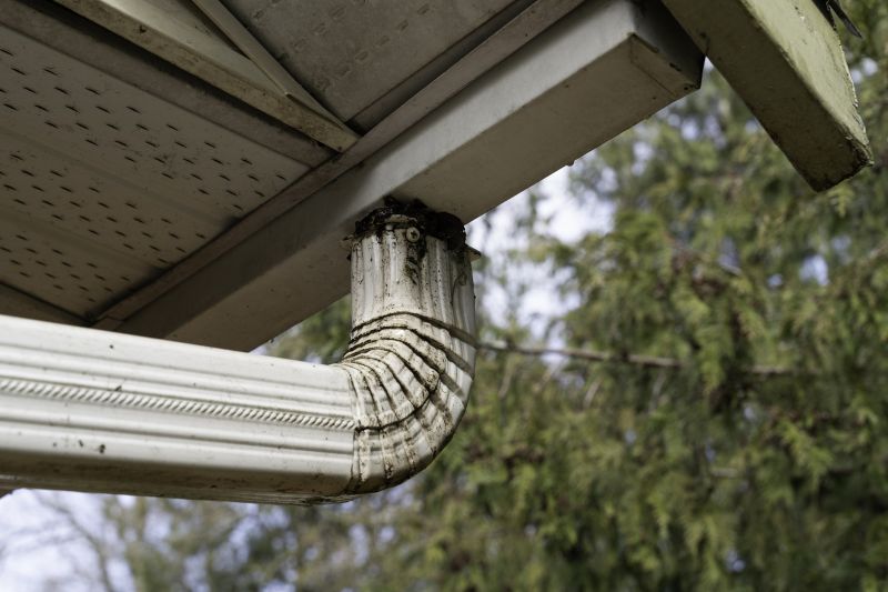 Gutter Downspout Unclogging in Annapolis, MD