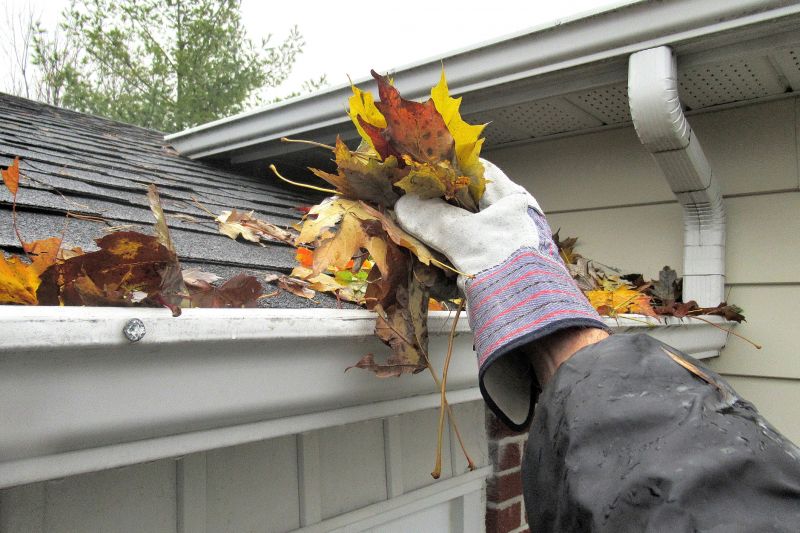 Gutter Pine Needle Removal in Arvada, CO