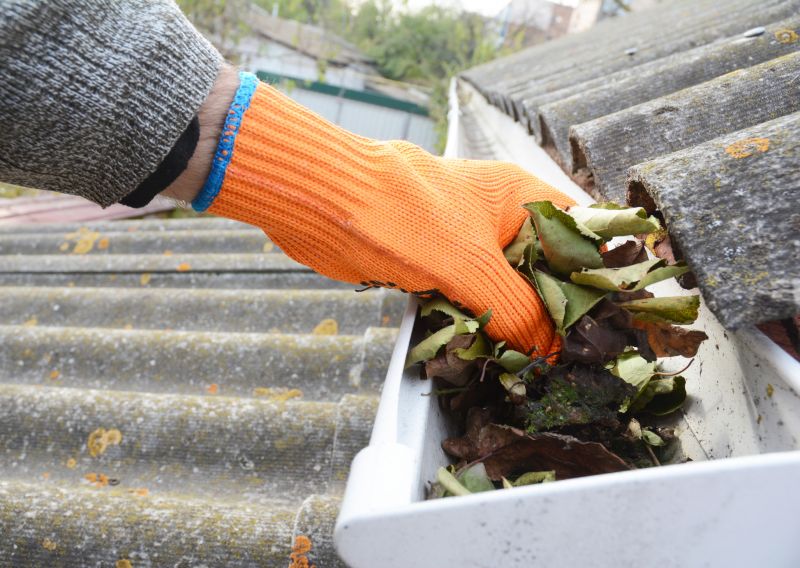 Roof Gutter Cleaning in Rochester, NY